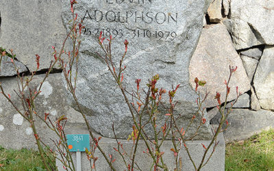 Sten nr 097 – Edvin Adolphson